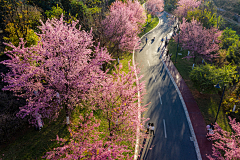 嘉平采集到场景