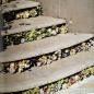 Landscaping inspiration: stair detail with succulents: 