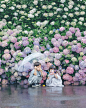 yuria on Instagram: “❃︎ ❃︎ ❃︎ 紫陽花ときょうだい ・ 庭で育てていたじゃがいも掘り起こしてみたら 思ったよりゴロゴロできてて 子どもたち大喜び♡ 明日はポテトサラダを作るらしい◎ ❃︎ ❃︎ ❃︎ #紫陽花#アジサイ#hydrangea #シャボン玉 #childrenphotogra…”