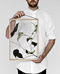 Three Danish Companies Release Transparent Botanical Prints - Design Milk : MOEBE, Paper Collective, and Norm Architects, joined forces to release a series of art prints that were designed specifically to hang within the MOEBE frame