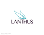 标志说明：国外Lanthus化妆品logo标志设计欣赏。