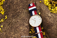 MonIris采集到BRAND / DW(Daniel Wellington)