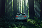 Audi Q3 in a Redwood Forest : Audi Q3 in a Redwood Forest. Photographed for Audi USA social media channels.