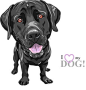 black dog breed Labrador Retriever vector