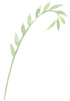 TOPVE-李清采集到免扣植物 花草 蔬菜 瓜果 食物