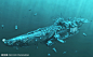 深海潜水艇设计图