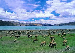 西藏全景品质双卧12日特惠游,北京到拉萨...