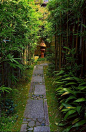 Tiny little stone path in a Kyoto garden: 