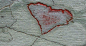 地衣之爱：美国佛罗里达州奥杜邦螺旋沼泽上，真菌摆出一个心形