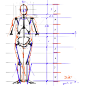 素材合集绘画专用人体解剖系列 296P 动作姿势骨架素描参考资料-淘宝网