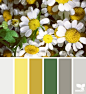 flora palette: 
