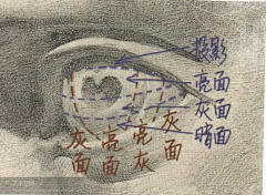 一分为二采集到画画  教材  教程