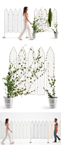 【植物篱笆】这个创意模块化栅栏可以很好地实现你最喜欢装饰效果，你可以把植物单独栽植在花盆里，使它按照你的布局去生长，只需要用少许的水和耐心，你就可以拥有一个漂亮的室内篱笆墙。