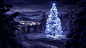 General 1920x1080 Christmas night landscape Christmas Tree mountain snow winter trees冬天 雪地