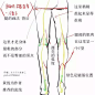 【绘画参考】足部腿部臀部的参考~怎样画好下半身呢？足、腿、臀的配合很重要喔~