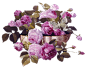 【转载】【免抠PNG素材篇】花朵，花束 - 卿卿的日志 - 网易博客