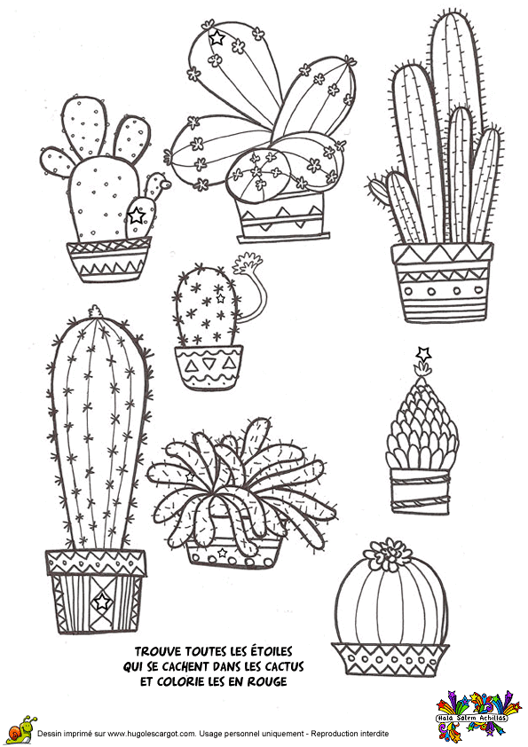 Illustration Cactus