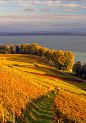 海边秋景，瑞士。 - 深谷小溪采集到秋韵 - 花瓣_百度图片