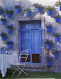 `、garden、花、花瓣、植物 多肉 园艺、虹蓝、家居、春暖花开、最爱的、宝贝、bc、Provence、普罗旺斯