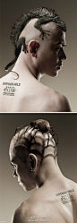 国际4A广告网：【4AAD讯】一个美发用品品牌的广告创意--蜥蜴、蜘蛛。