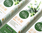 Bamboo Salt Toothpaste - Package Design : Bamboo Salt Toothpaste Redesign
