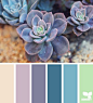 Succulent Palette - http://design-seeds.com/index.php/home/entry/succulent-palette1