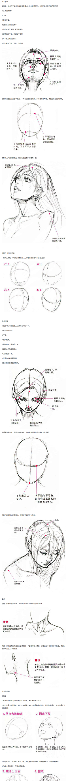 手持向日葵的人采集到功能