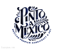 标志说明：墨西哥工艺品店标设计欣赏。