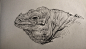 犀牛鬣蜥-狮鸢SONNY__涂鸦王国插画