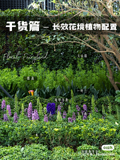 好一个大鸡腿采集到景观｜绿植｜花径｜盆景