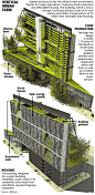 Vertical Urban Farm