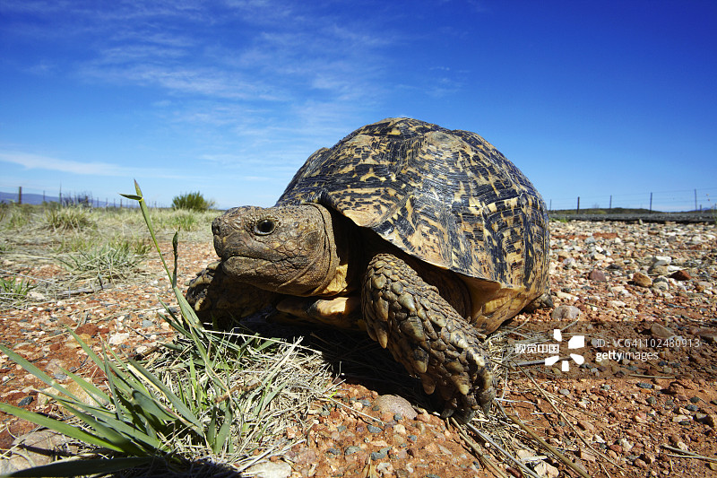 df83776fc1a962310e7fa9d16ac7fdb4a57d0e1f3d0ff-x21dnf