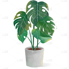 花瓣素材采集到绿植免抠元素