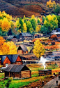 新疆白哈巴村，这里的秋天美得像油画。你会忘记时间的存在。