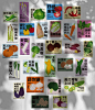 原创｜蔬菜海报设计 包装设计 有机新鲜创意菜市场轻食-古田路9号