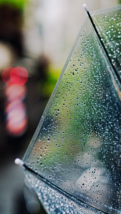 akong采集到在雨中