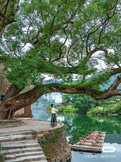 Z一颗小心心采集到场景美图