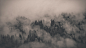 atmospheric creepy fog forests landscapes wallpaper (#2935650) / Wallbase.cc