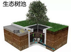 Sunshine安东采集到海绵城市