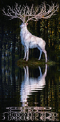 White deer hold a place in the mythology of many cultures. Celtic people considered them to be messengers from the other world, and other pre-Indo-European cultures, especially in the north. Arthurian legend states that the creature has a perennial abilit