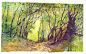 安纳布尔那徒步时画的水彩--小路-不管了（付璐）_徒步,森林_涂鸦王国插画