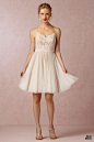 BHLDN 2014