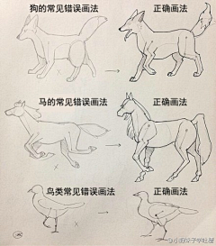 F018采集到教程