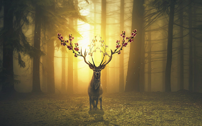 Deer, Fantasy, Fores...