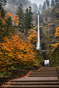 earthyday:

Multnomah Falls  by Mitch Schreiber
