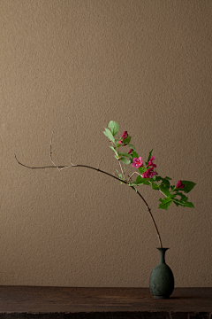 芍道丫头采集到花道