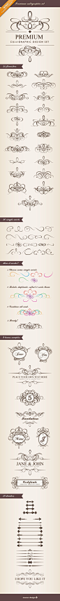 Premium Calligraphic Design Set