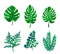 6款绿色植物叶子矢量素材.jpg