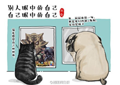 司喵采集到猫