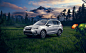 New Subaru Forester : Illustrations for the site